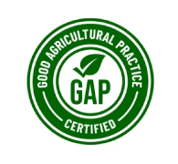 GAP-logo