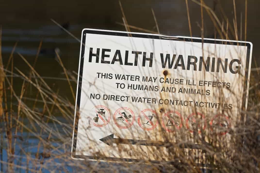 contaminated water transmits pathogens