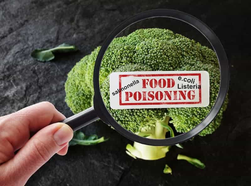 food poisoning salmonella