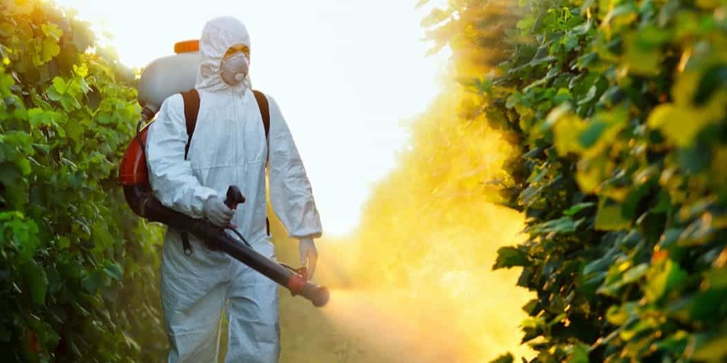 pesticides are chemical hazards